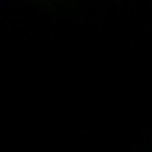 Meet your Posher, Lamarkel